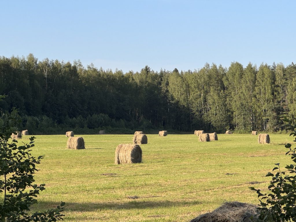 Круглые стога сена