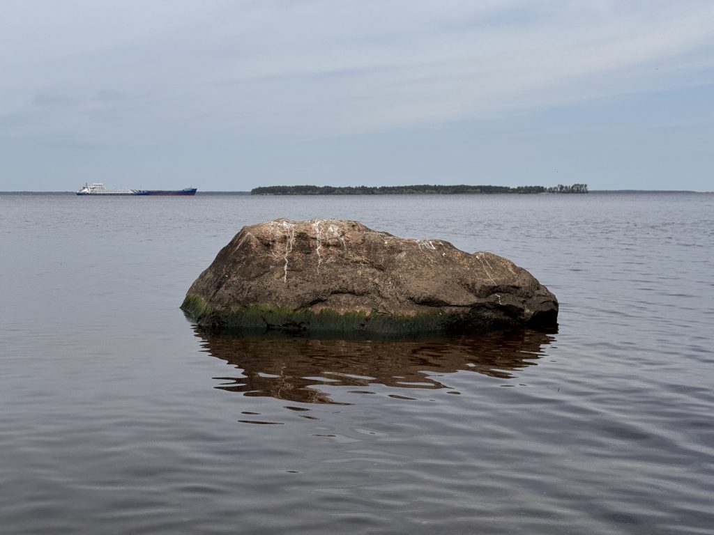Камень на Рыбинском водохранилище, на котором вчера сидели чайки