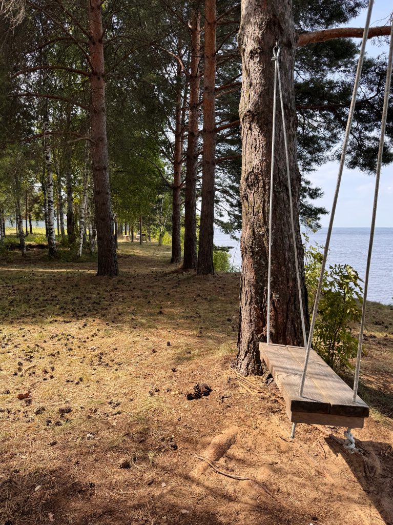 Качели на высоком берегу среди сосен Рыбинского водохранилища