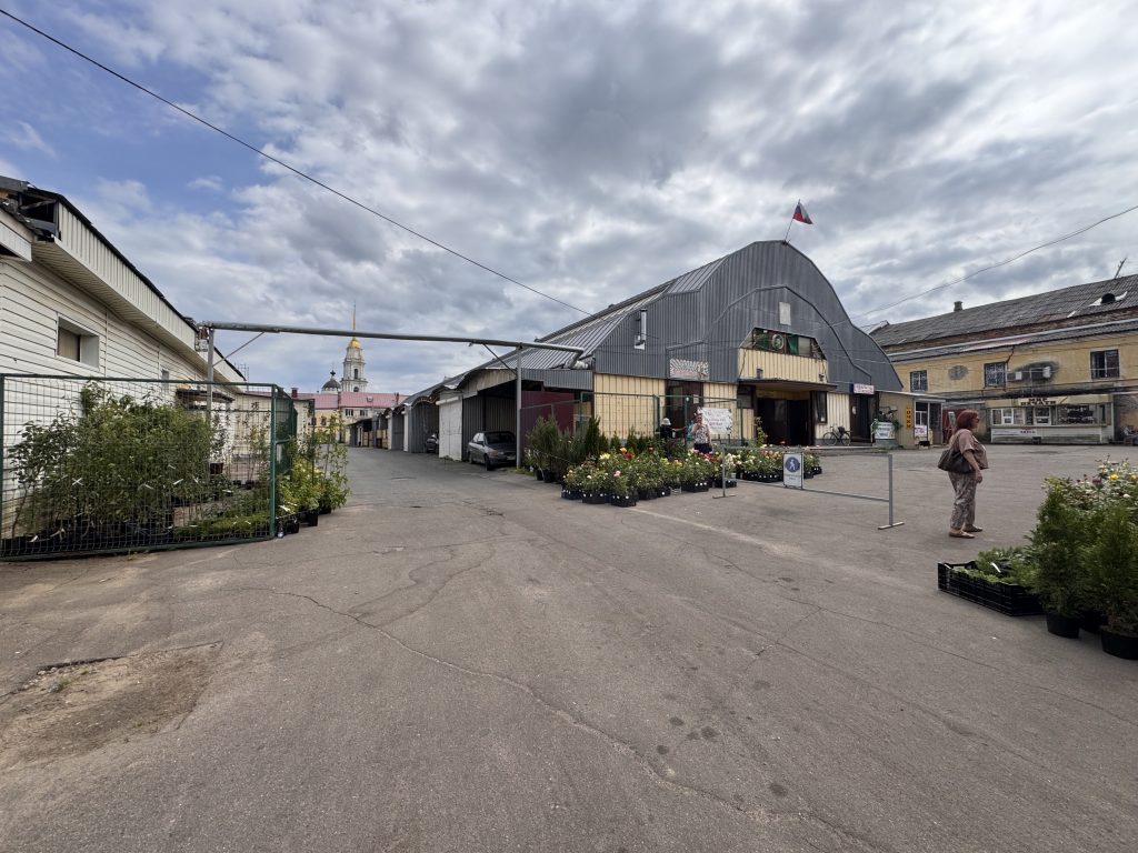 Перед возвращением в Москву заехали снова в Рыбинск, зашли на центральный рынок, здесь продаются в том числе саженцы. Странное место - как-то пусто для центра города.