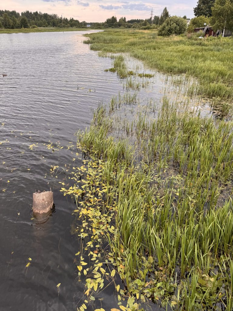 Залив Волги в деревне Балобаново близ посёлка Судоверфь и Успенской церкви с Болтинским кладбищем